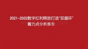 2021-2022数字红利释放打造“双循环”着力点分析报告.pdf