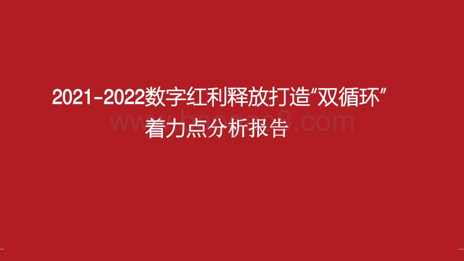 2021-2022数字红利释放打造“双循环”着力点分析报告.pdf_第1页