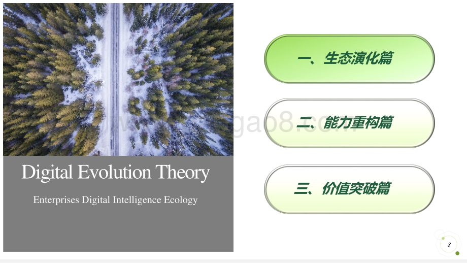 2021-2022中国企业数智生态研究报告.pdf_第3页