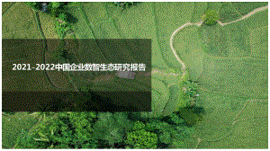 2021-2022中国企业数智生态研究报告.pdf