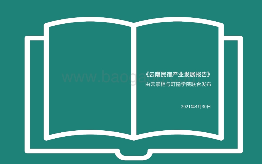2021-2022云南民宿产业发展分析报告.pdf_第3页