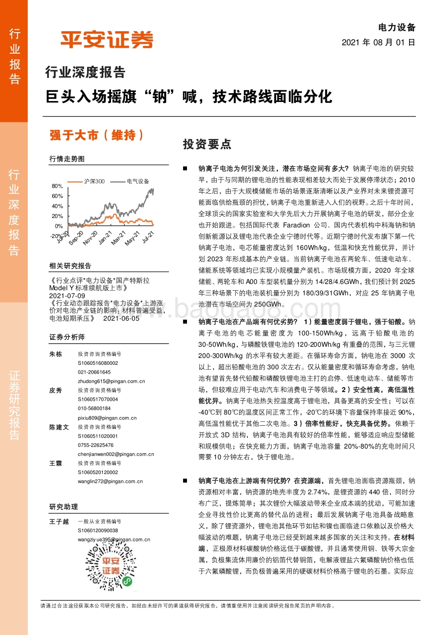 电力设备行业深度报告：巨头入场摇旗“钠”喊技术路线面临分化.pdf_第1页
