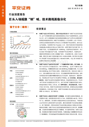 电力设备行业深度报告：巨头入场摇旗“钠”喊技术路线面临分化.pdf