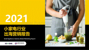 2021小家电行业出海营销报告.pdf