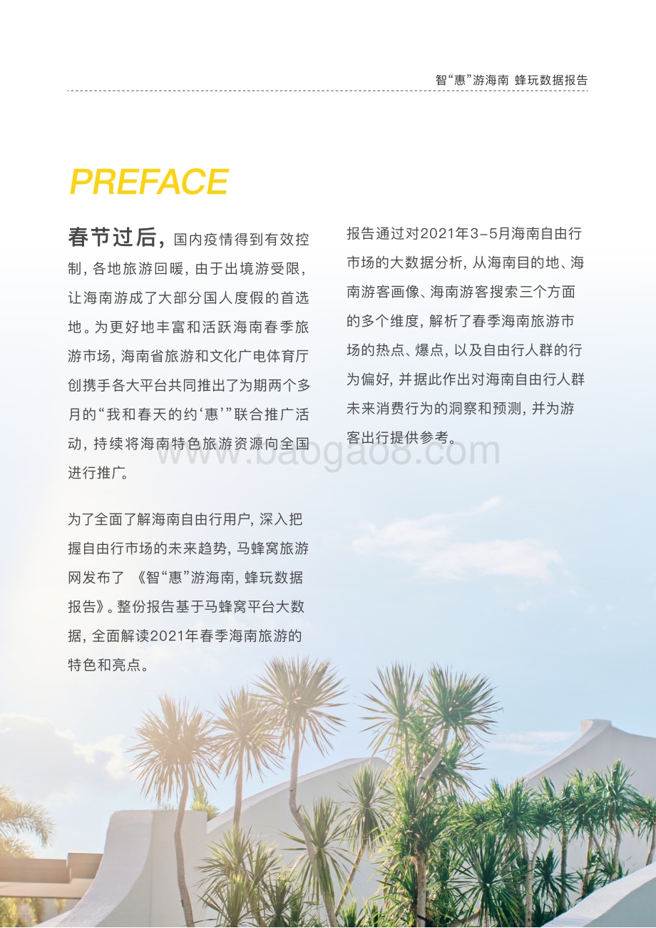 智“惠”游海南蜂玩数据报告.pdf_第2页