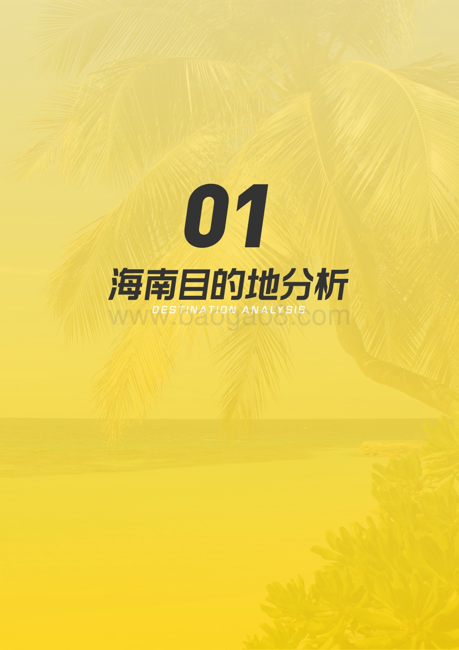 智“惠”游海南蜂玩数据报告.pdf_第4页