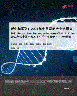 2021年中国氢能产业链研究.pdf