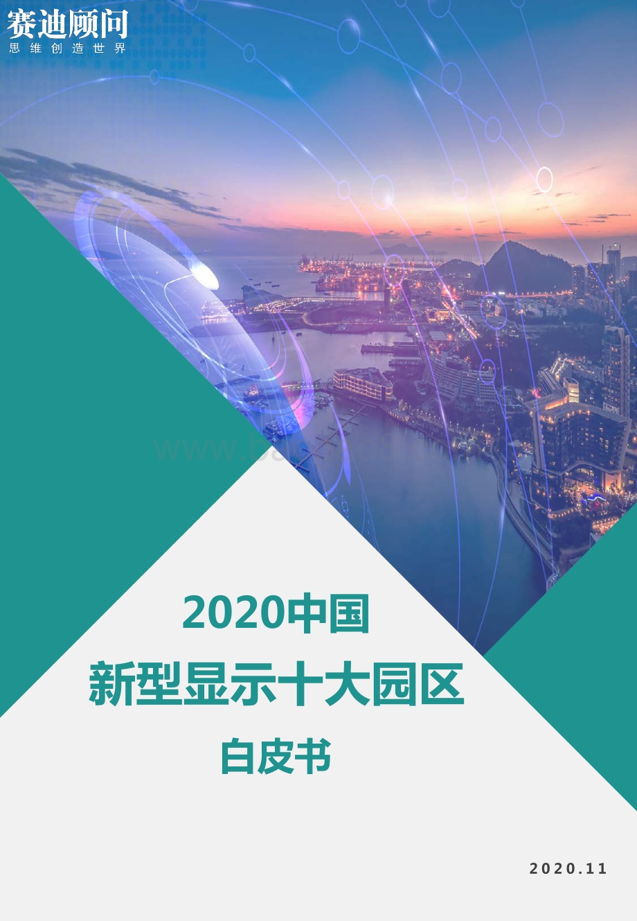 2020中国新型显示十大园区白皮书.pdf_第1页