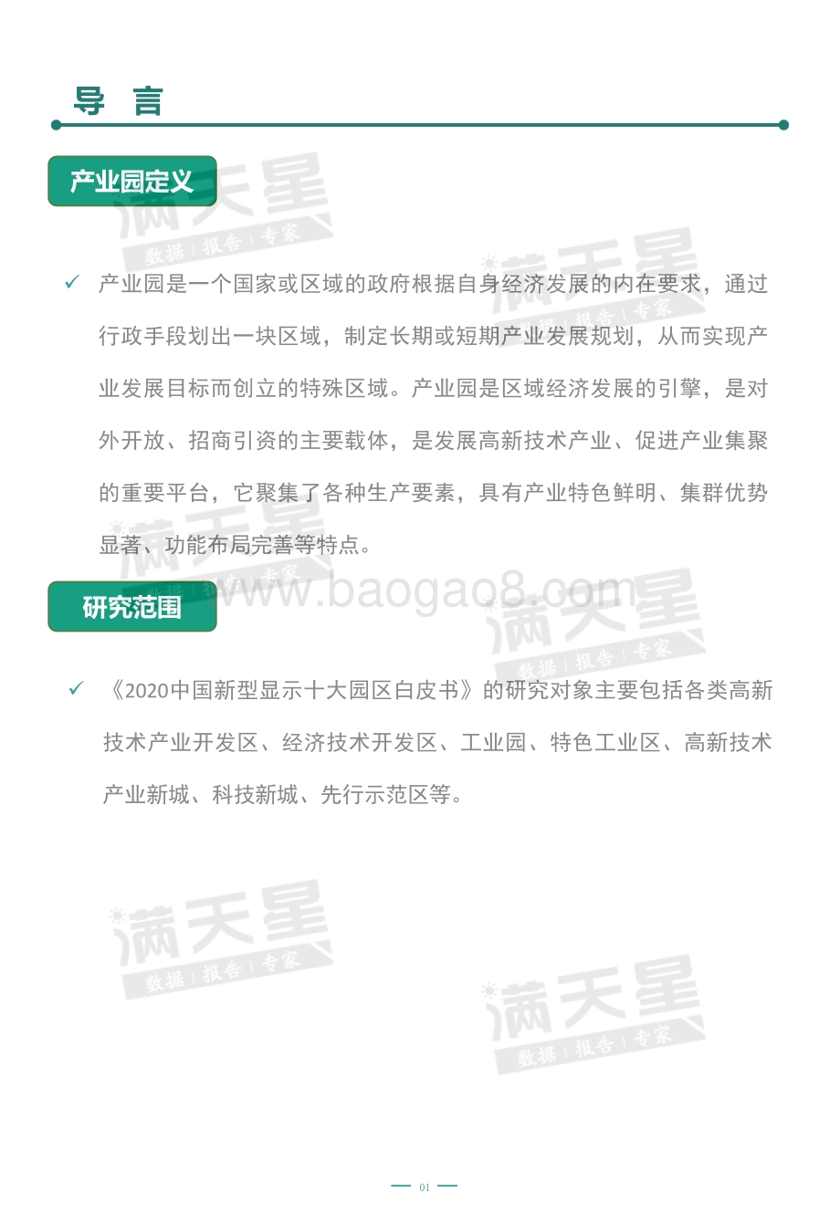 2020中国新型显示十大园区白皮书.pdf_第2页
