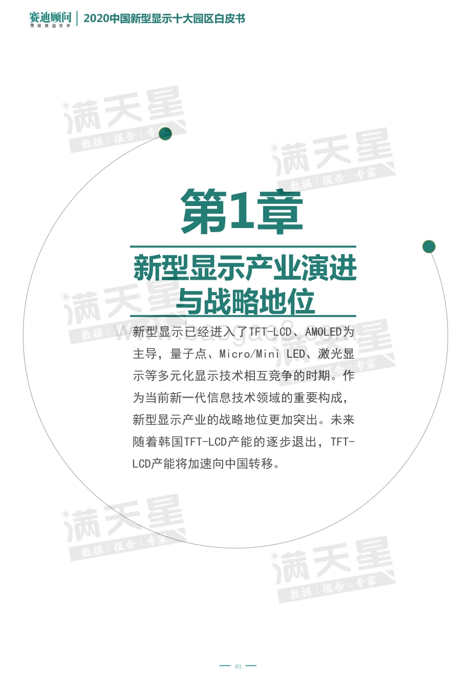 2020中国新型显示十大园区白皮书.pdf_第4页