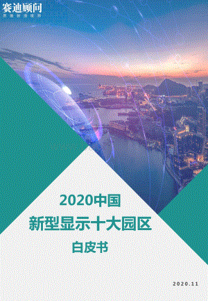 2020中国新型显示十大园区白皮书.pdf