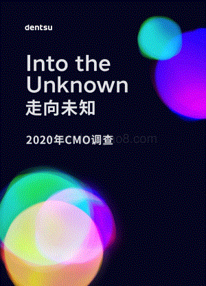 2020年CMO调查.pdf