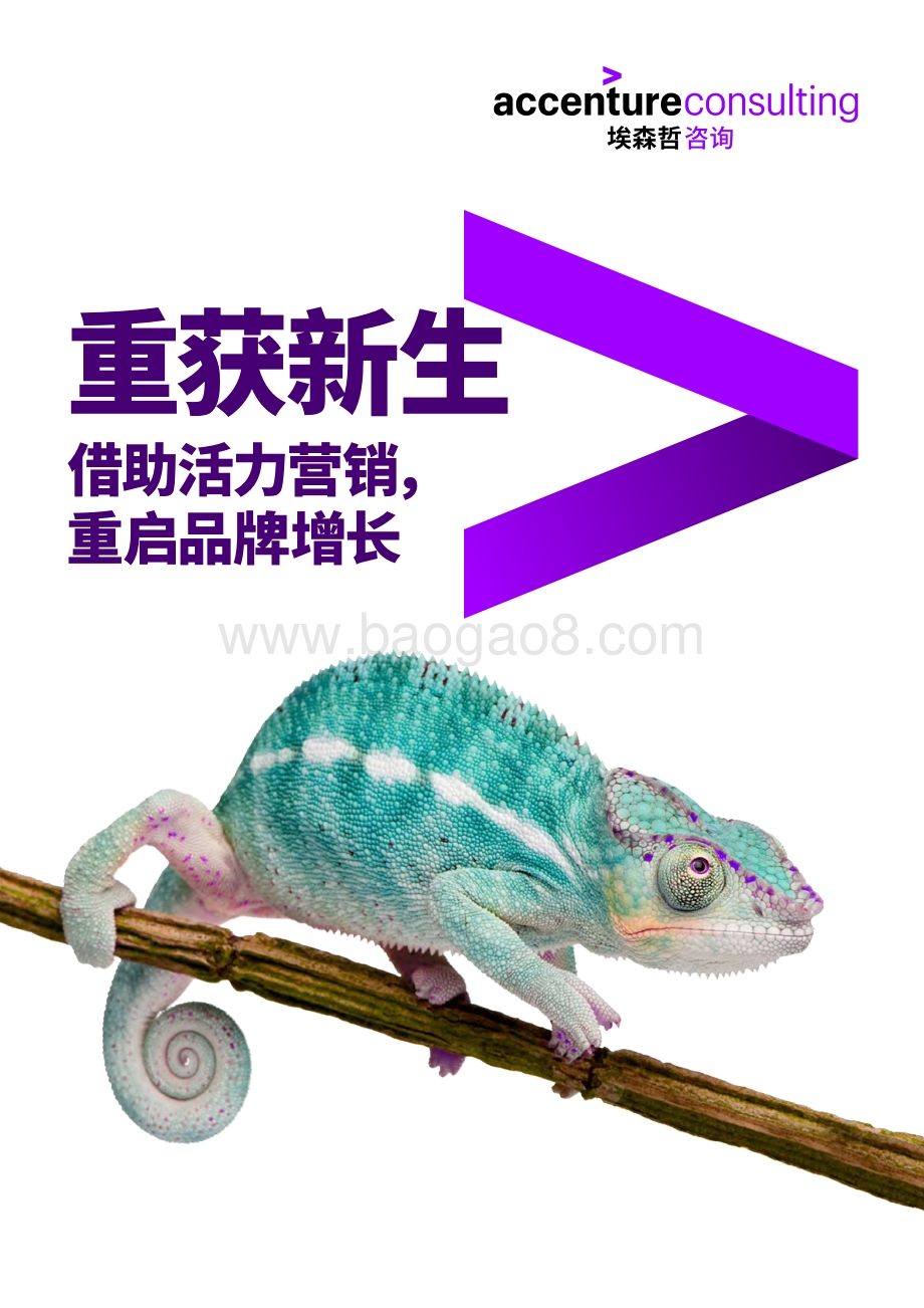 重获新生：借助活力营销重启品牌增长.PDF_第1页