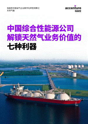 中国综合性能源公司解锁天然气业务价值的七种利器.pdf