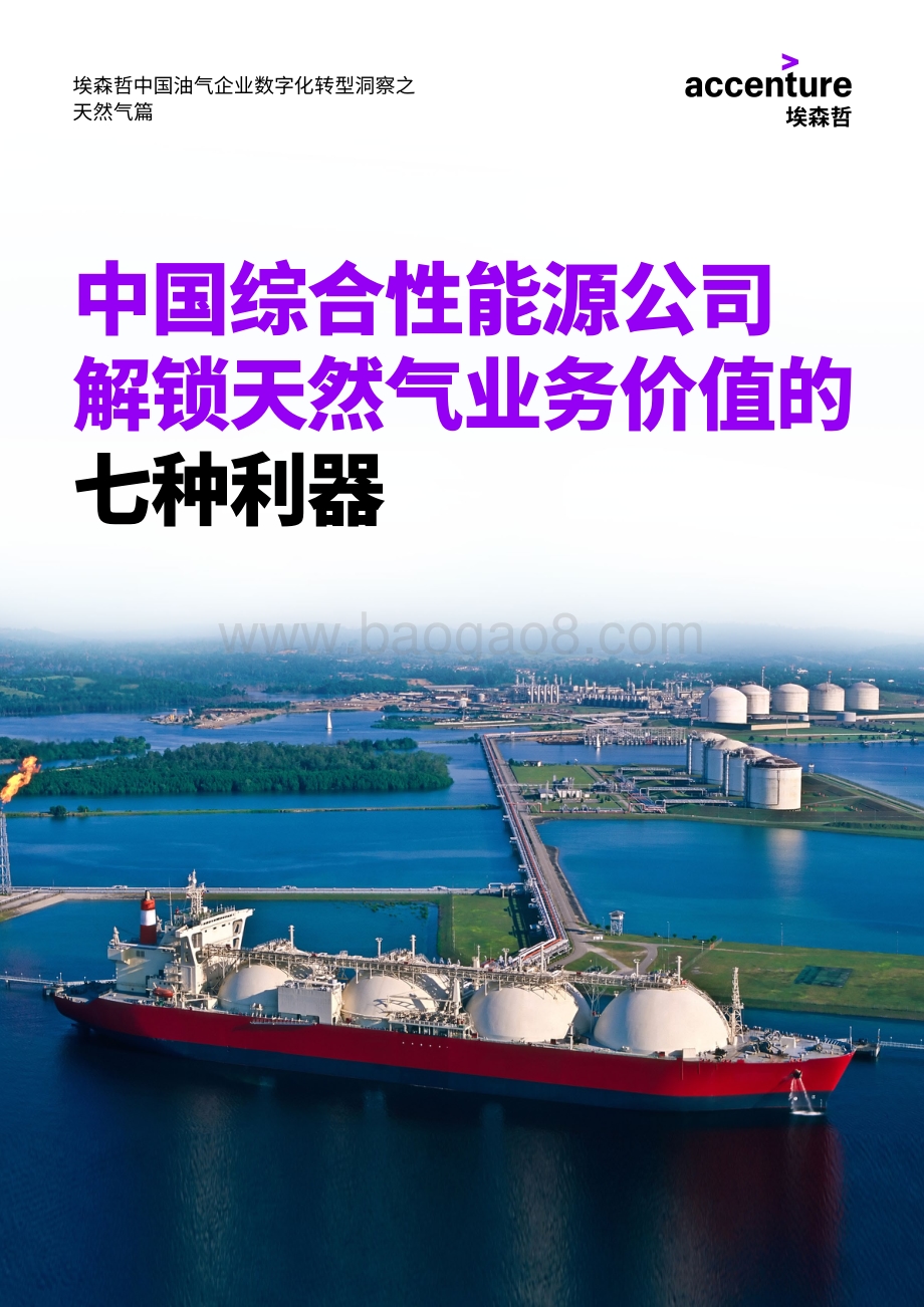 中国综合性能源公司解锁天然气业务价值的七种利器.pdf_第1页