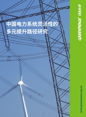 中国电力系统灵活性的多元提升路径研究.pdf