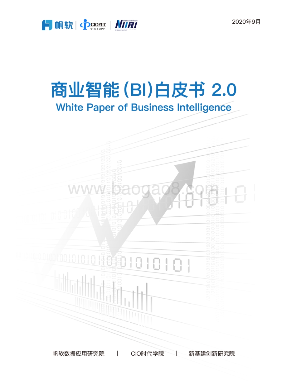 商业智能（BI）白皮书2.0.pdf_第1页
