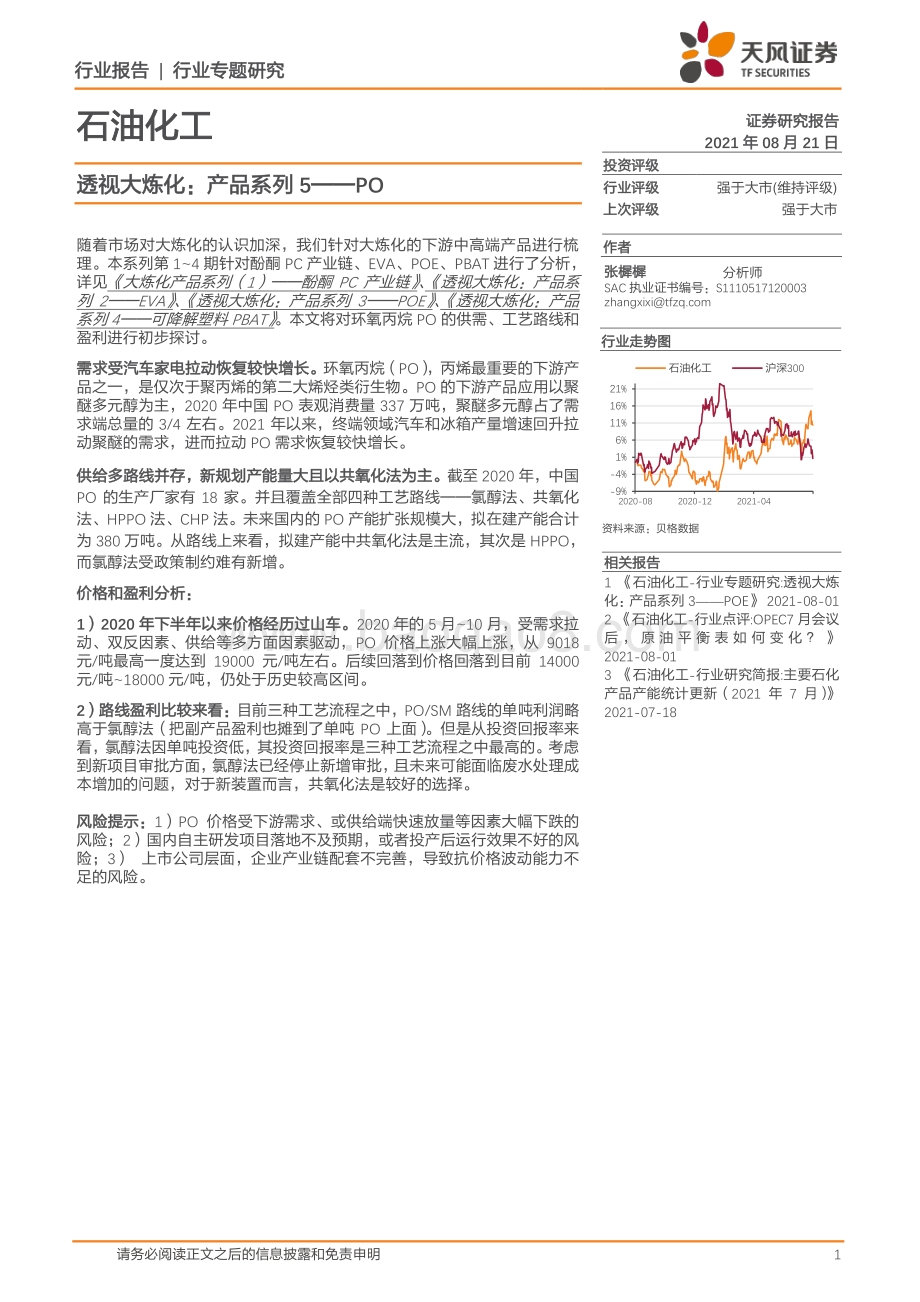 透视大炼化：产品系列5——PO.pdf_第1页