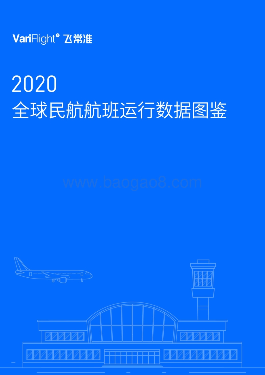 2020全球民航航班运行数据图鉴.pdf_第1页