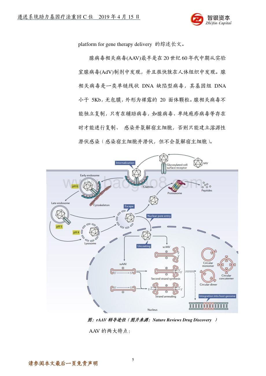 递送系统助力基因疗法重回C位.pdf_第5页