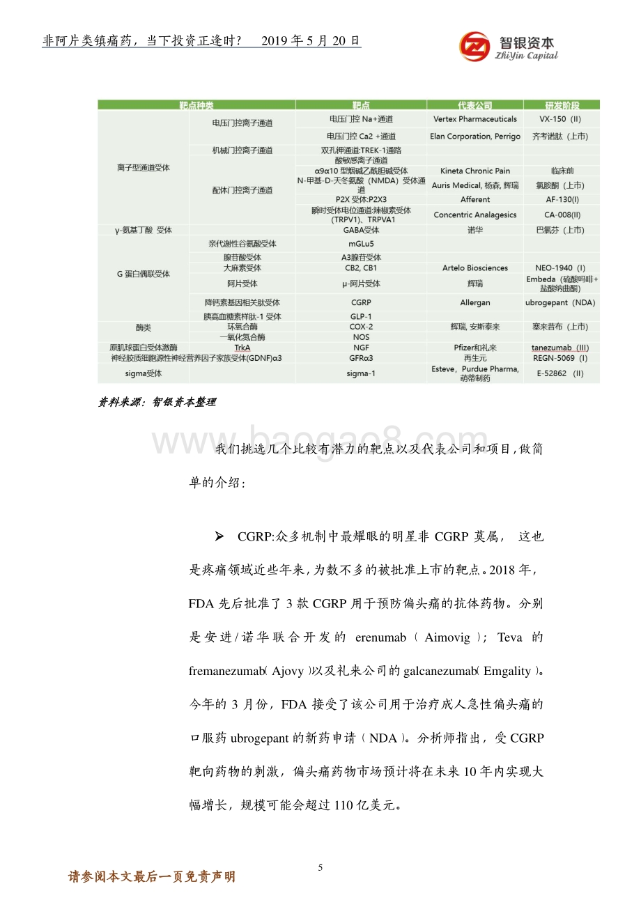 非阿片类镇痛药当下投资正逢时？.pdf_第5页