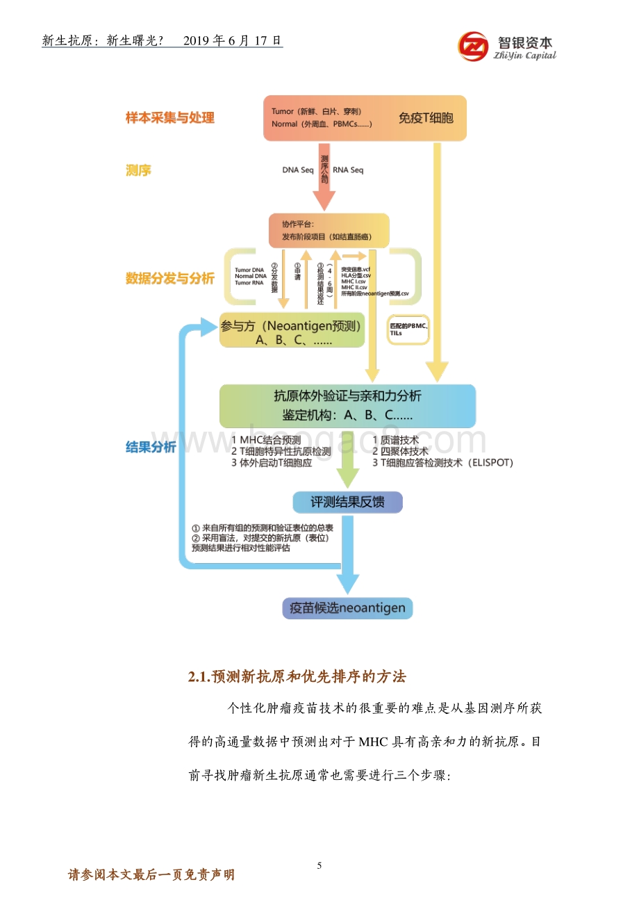 新生抗原：新生曙光？.pdf_第5页
