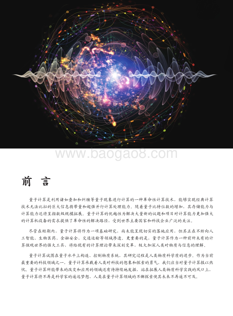 2021量子计算技术创新与趋势展望.pdf_第2页