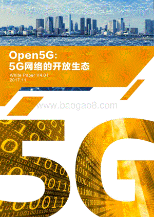 Open5G：5G网络的开放生态.pdf