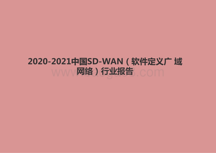 2020-2021中国SD-WAN（软件定义广 域网络）行业报告.pptx_第1页