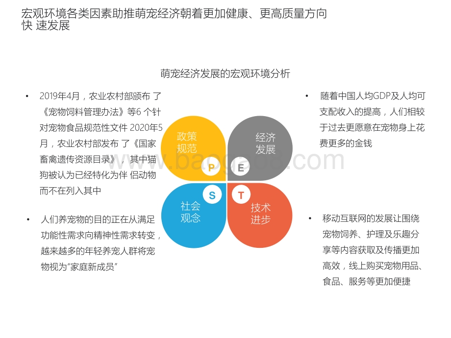 2020-2021年萌宠经济洞察报告.pptx_第3页