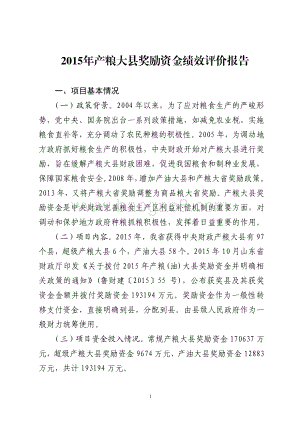 2015年产粮大县奖励资金绩效评价报告（山东）.pdf