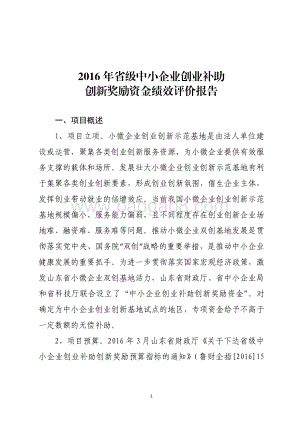2016年省级中小企业创业补助创新奖励资金绩效评价报告（山东）.pdf