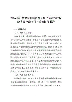 2016年社会保险补助资金（居民基本医疗保险省级补助项目）绩效评价报告（山东）.pdf