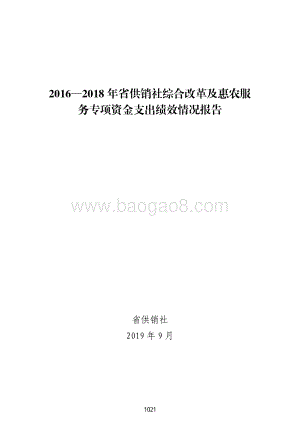 2016—2018 年省供销社综合改革及惠农服务专项资金支出绩效评价报告.pdf