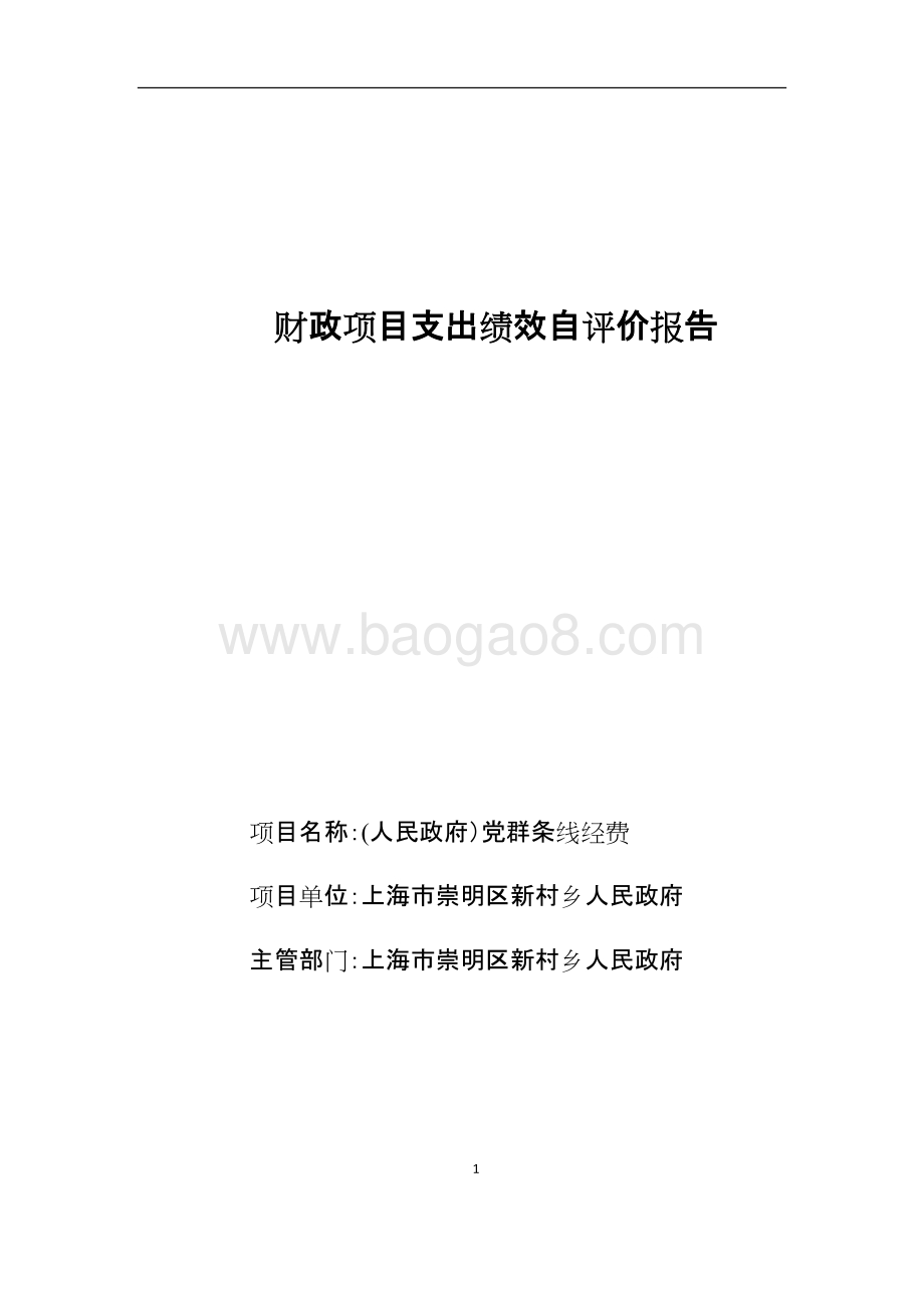 (人民政府）党群条线经费评价报告.docx_第1页
