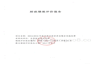 2014-2016年度东莞市居家养老服务实施经费绩效评价报告.pdf