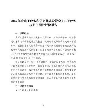 2016年度电子政务和信息化建设资金（电子政务项目）绩效评价报告（山东）.pdf