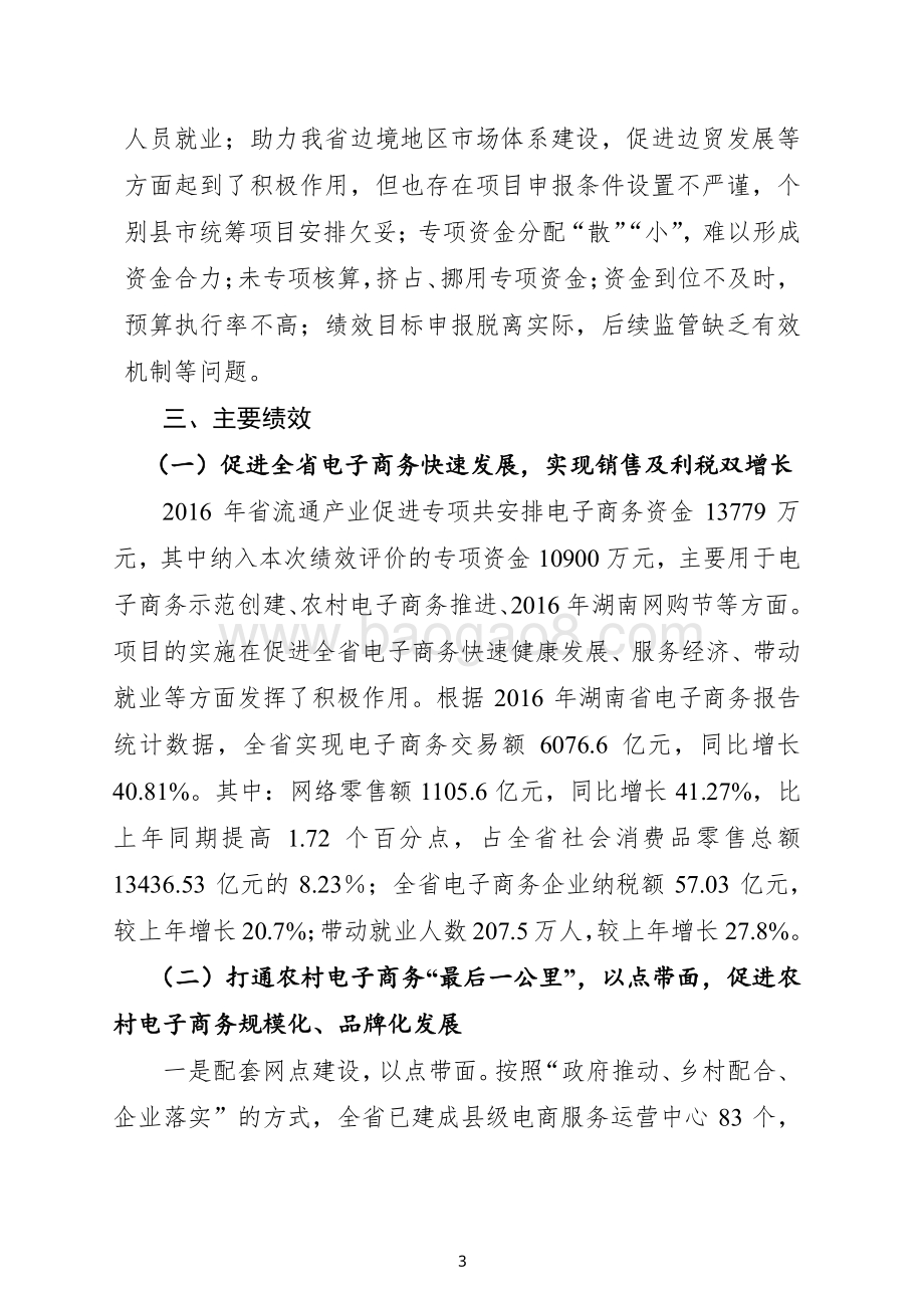 2016年流通产业促进专项绩效评价报告（湖南）.pdf_第3页