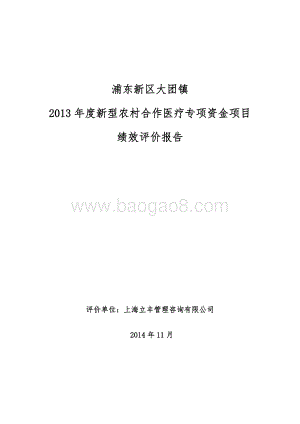 2013年大团镇新型农村合作医疗专项资金绩效评价报告.doc