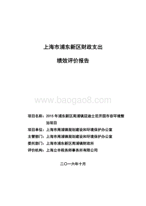 2015年浦东新区周浦镇迎迪士尼开园市容环境整治项目绩效评价报告.docx