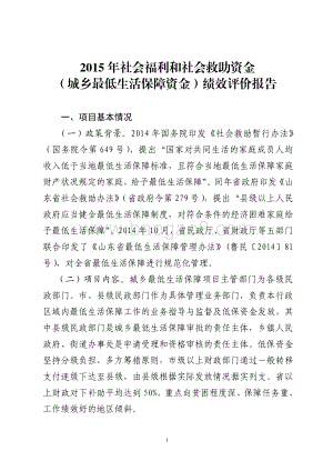 2015年社会福利和社会救助资金（城乡最低生活保障资金）绩效评价报告（山东）.pdf