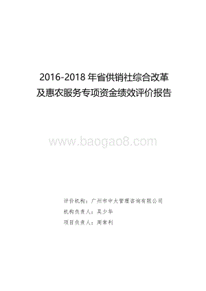 2016-2018年省供销社综合改革及惠农服务专项资金绩效评价报告.pdf