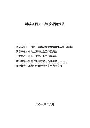 “两新”组织综合管理信息化工程（运维）项目支出绩效评价报告.pdf