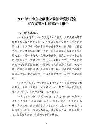 2015年中小企业创业补助创新奖励资金重点支出项目绩效评价报告（山东）.pdf