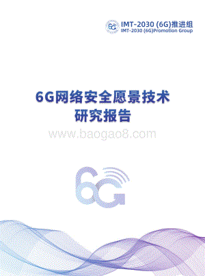6G网络安全愿景技术研究报告.pdf
