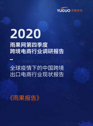 2020第四季度跨境电商行业调研报告.pdf