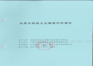 2010-2011年度东莞市现代信息服务业发展专项资金项目第三方重点绩效评价报告.pdf