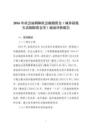 2016年社会福利和社会救助资金（城乡最低生活保障资金等）绩效评价报告（山东）.pdf