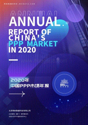 2020年中国PPP市场年报.pdf