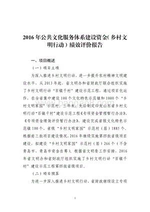 2016年公共文化服务体系建设资金（乡村文明行动）绩效评价报告（山东）.pdf